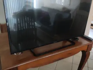 PANASONIC  farvetv