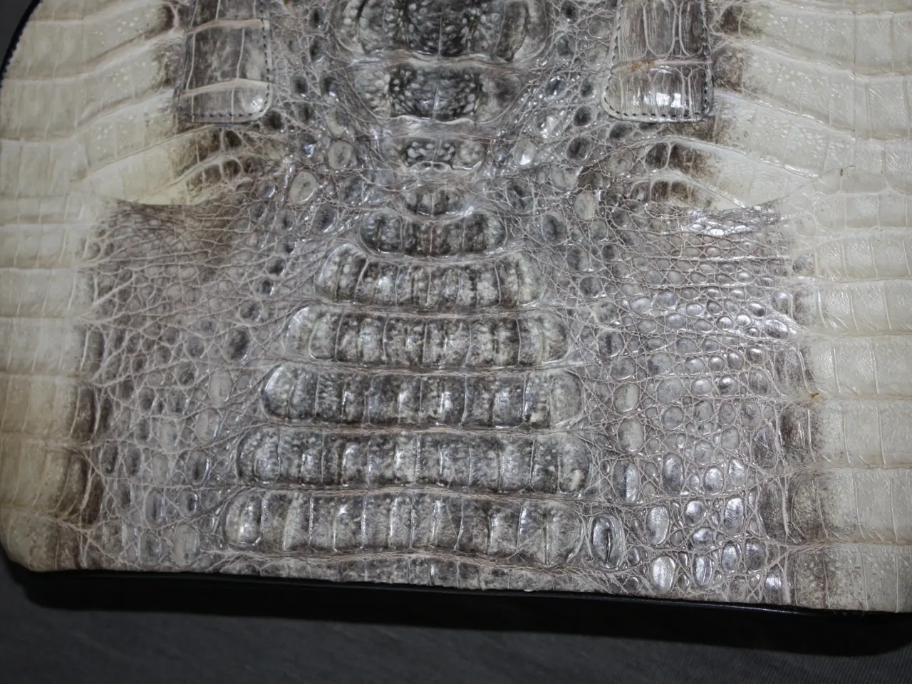 Billede 3 - River Genuine Crocodile Skin / krokodilleskind