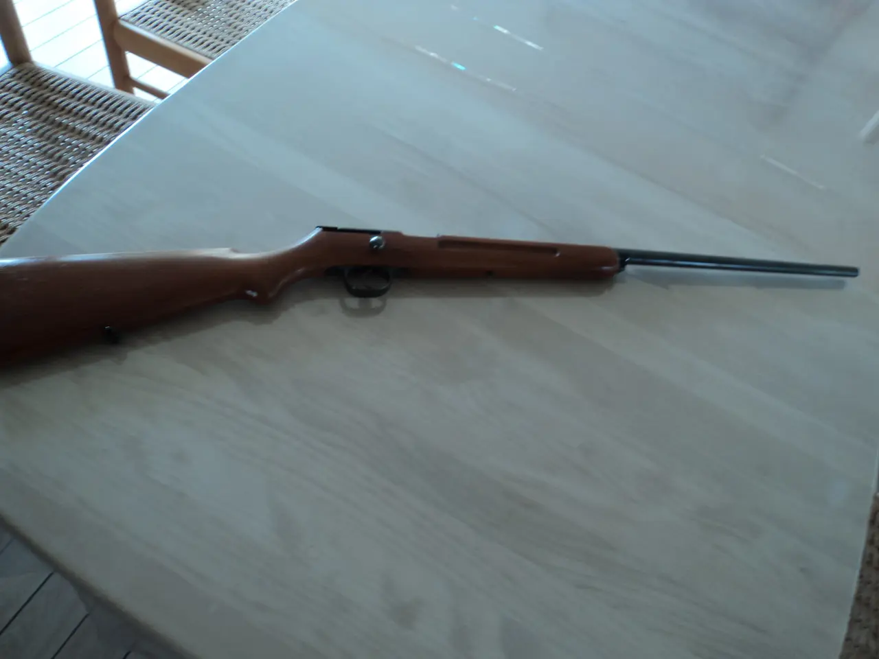 Billede 1 - Enkeltløbet haglgevær cal. 45.