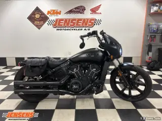 Indian Scout Rogue