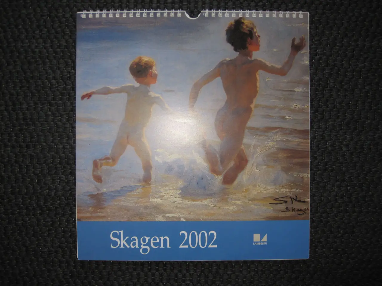 Billede 1 - Skagenskalender