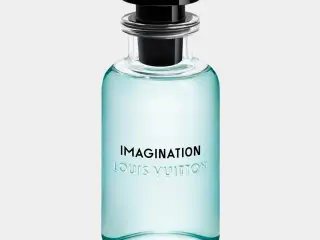 LV IMAGINATION