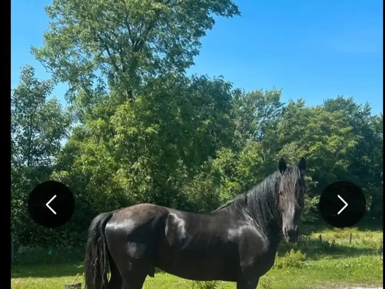 Billede 6 - Smuk sort perle