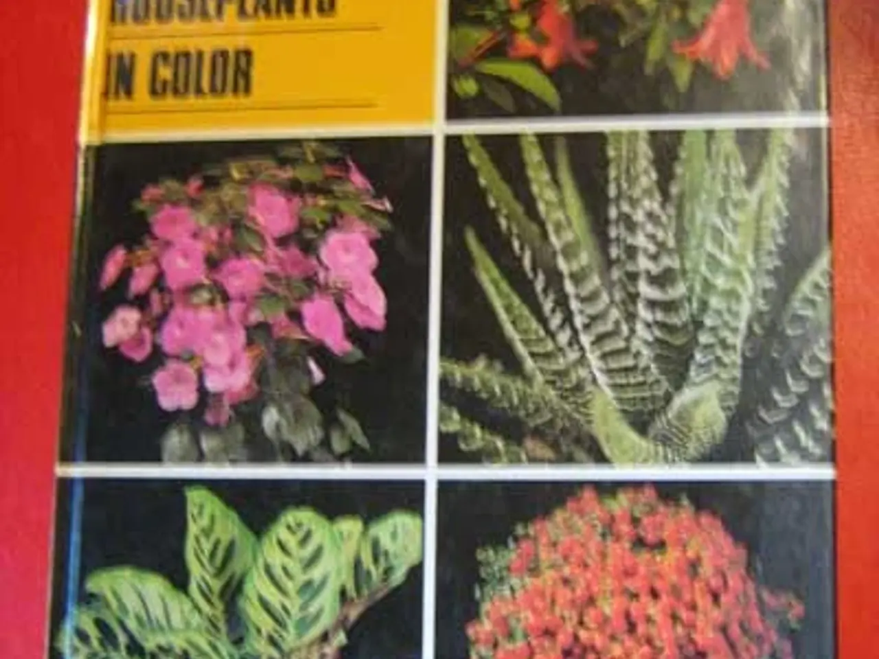 Billede 1 - Rob Herwig: 201 Houseplants in Color