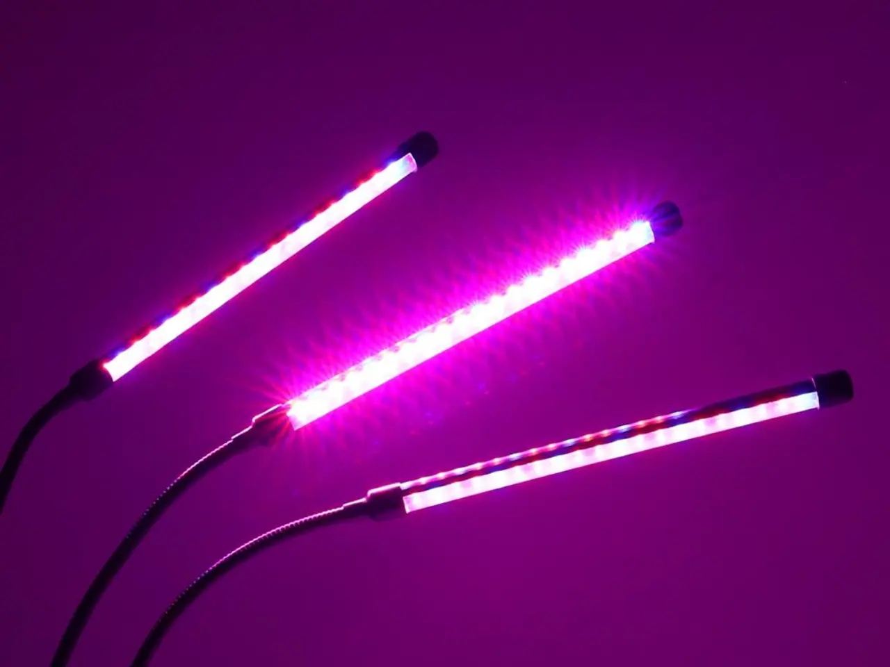 Billede 6 - Plantevækst LED-lampe med 3 arme - 70 cm, sort