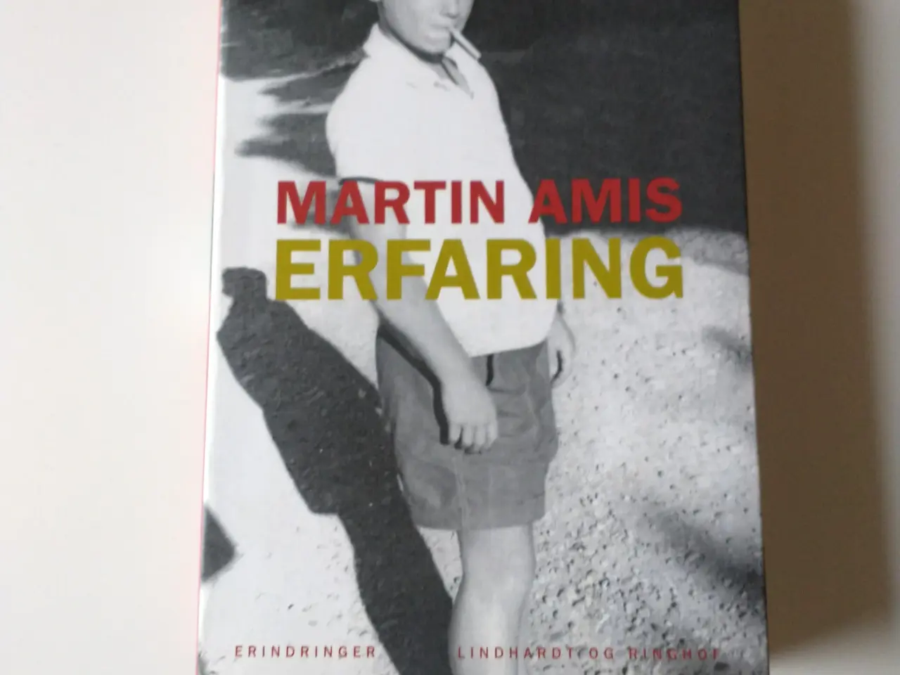 Billede 1 - Erfaring. Af Martin Amis