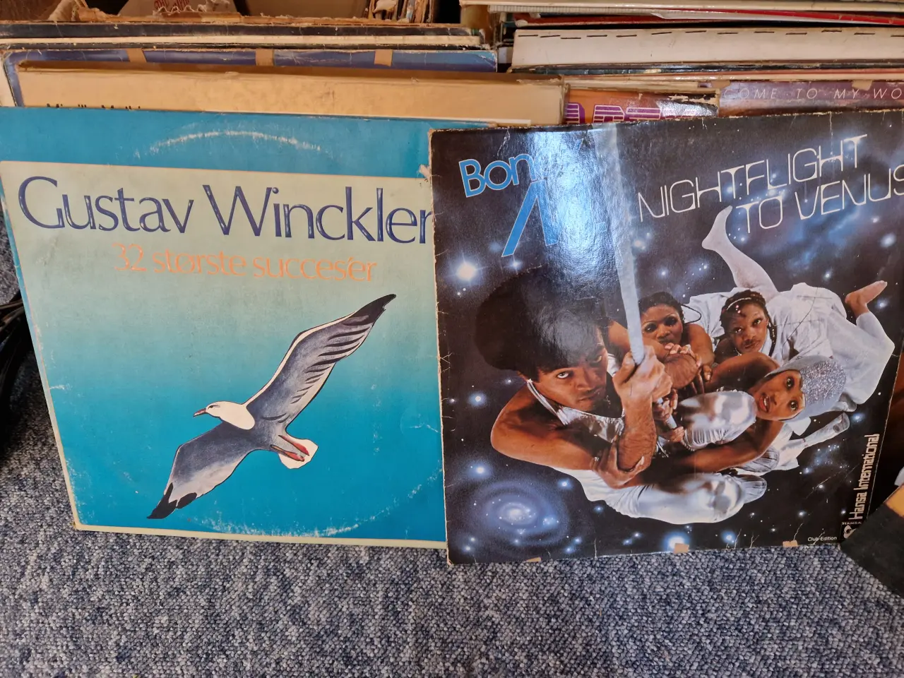 Billede 7 - Lp er mange forskellige slags