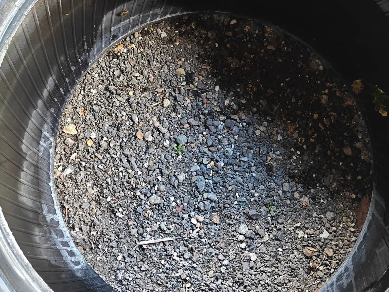Billede 11 - Michelin 13.6 R24 XXX