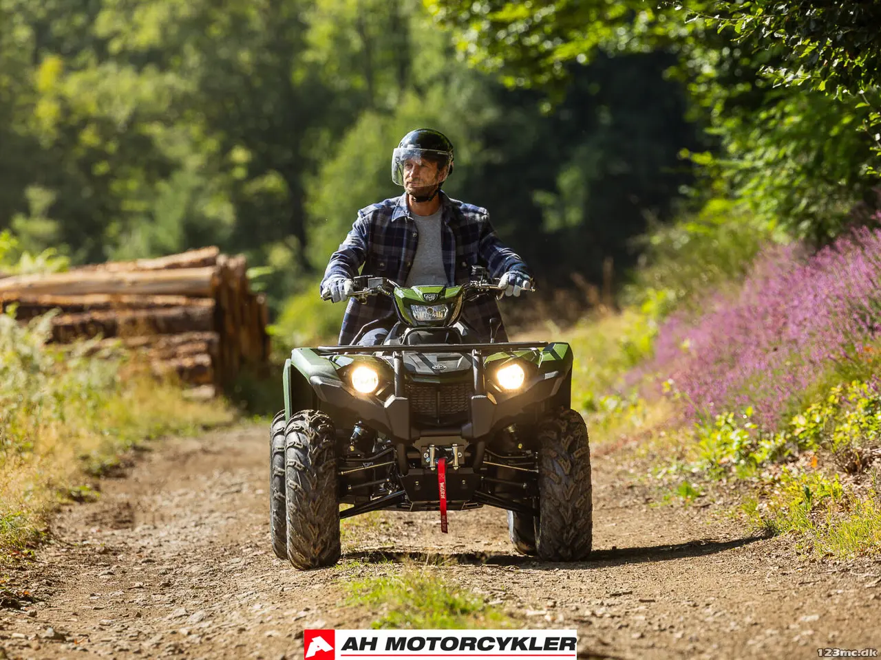 Billede 7 - Yamaha Kodiak 450 EPS , diff-lock