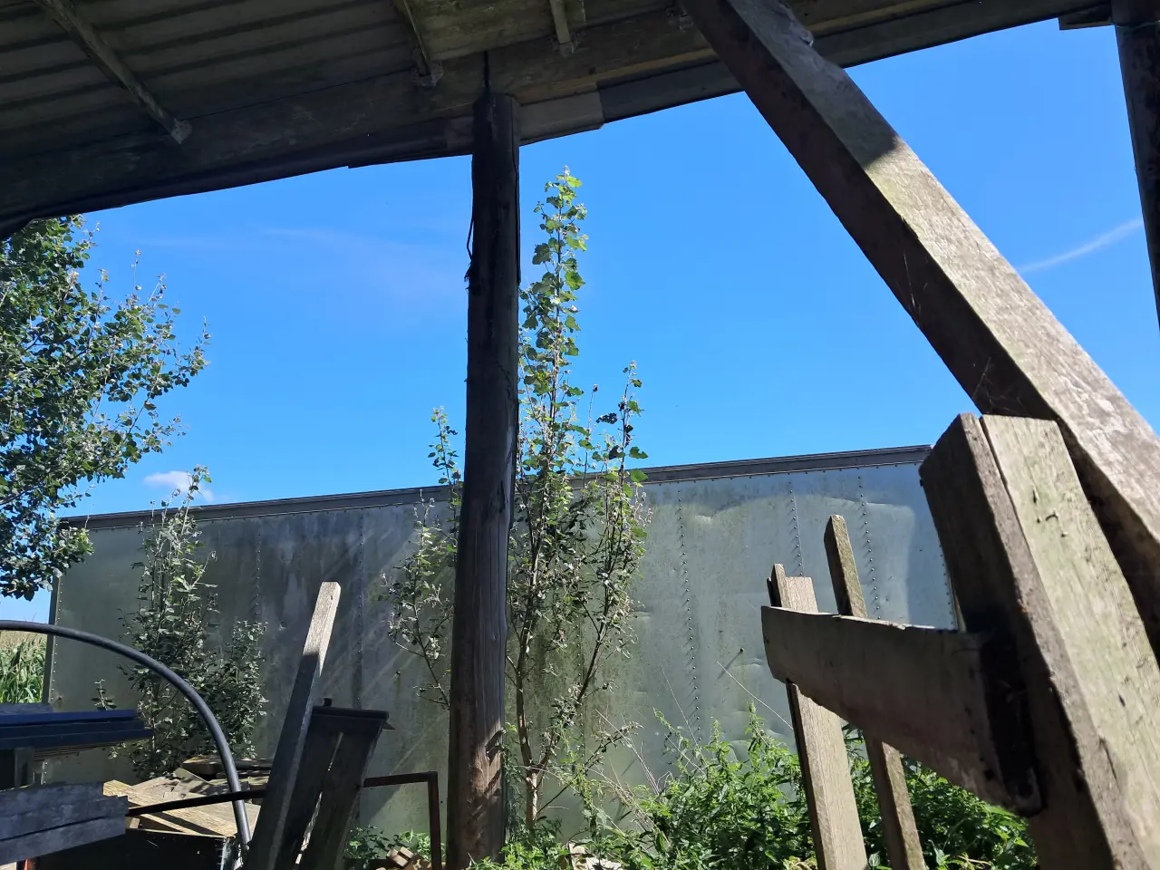 Billede 7 - Container med mange muligheder 