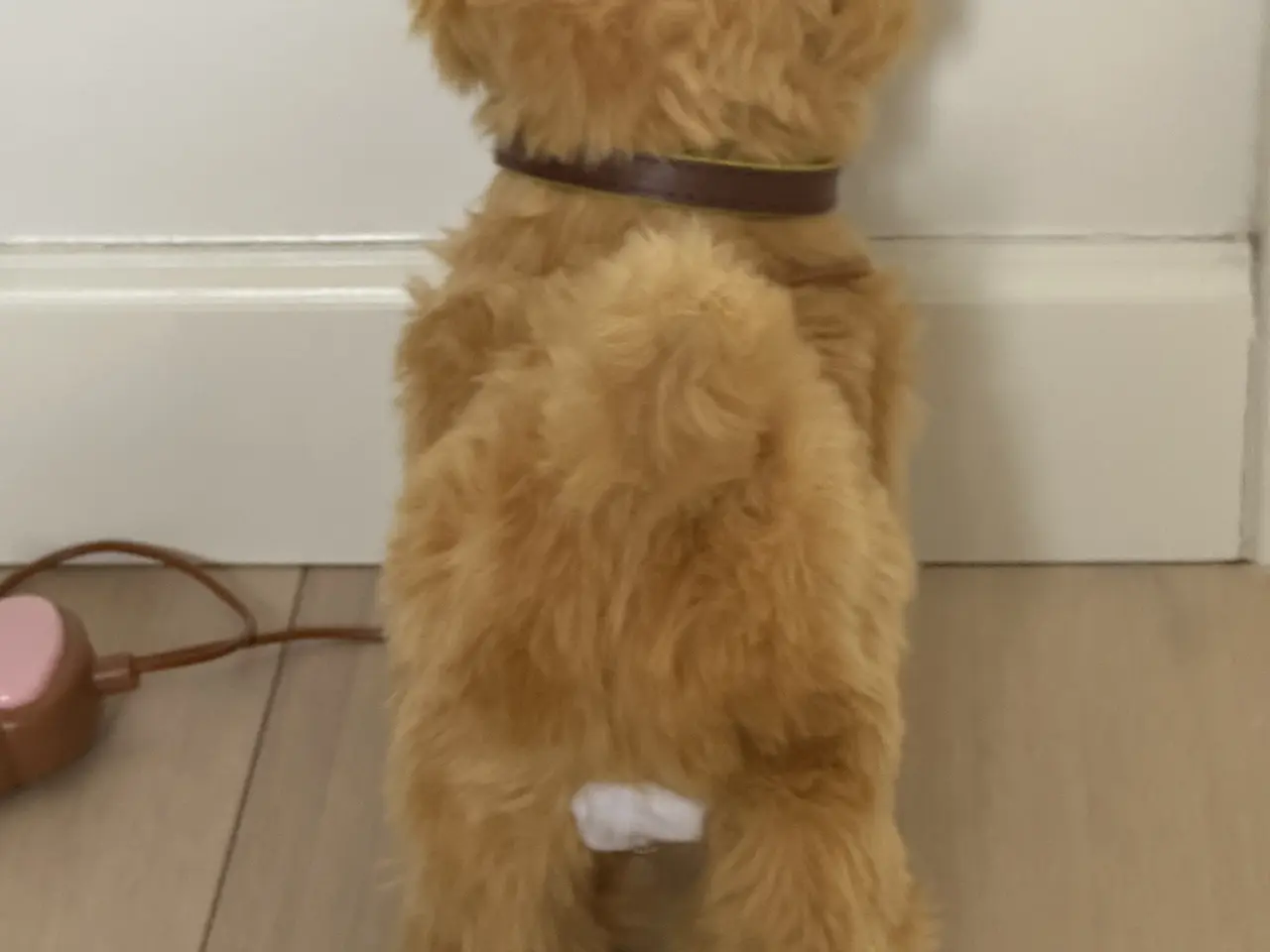 Billede 3 - 🐶 SØD INTERAKTIV HUNDEBAMSE MED FJERNBETJENING 🐶