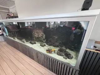 Akvarie på 1470 L