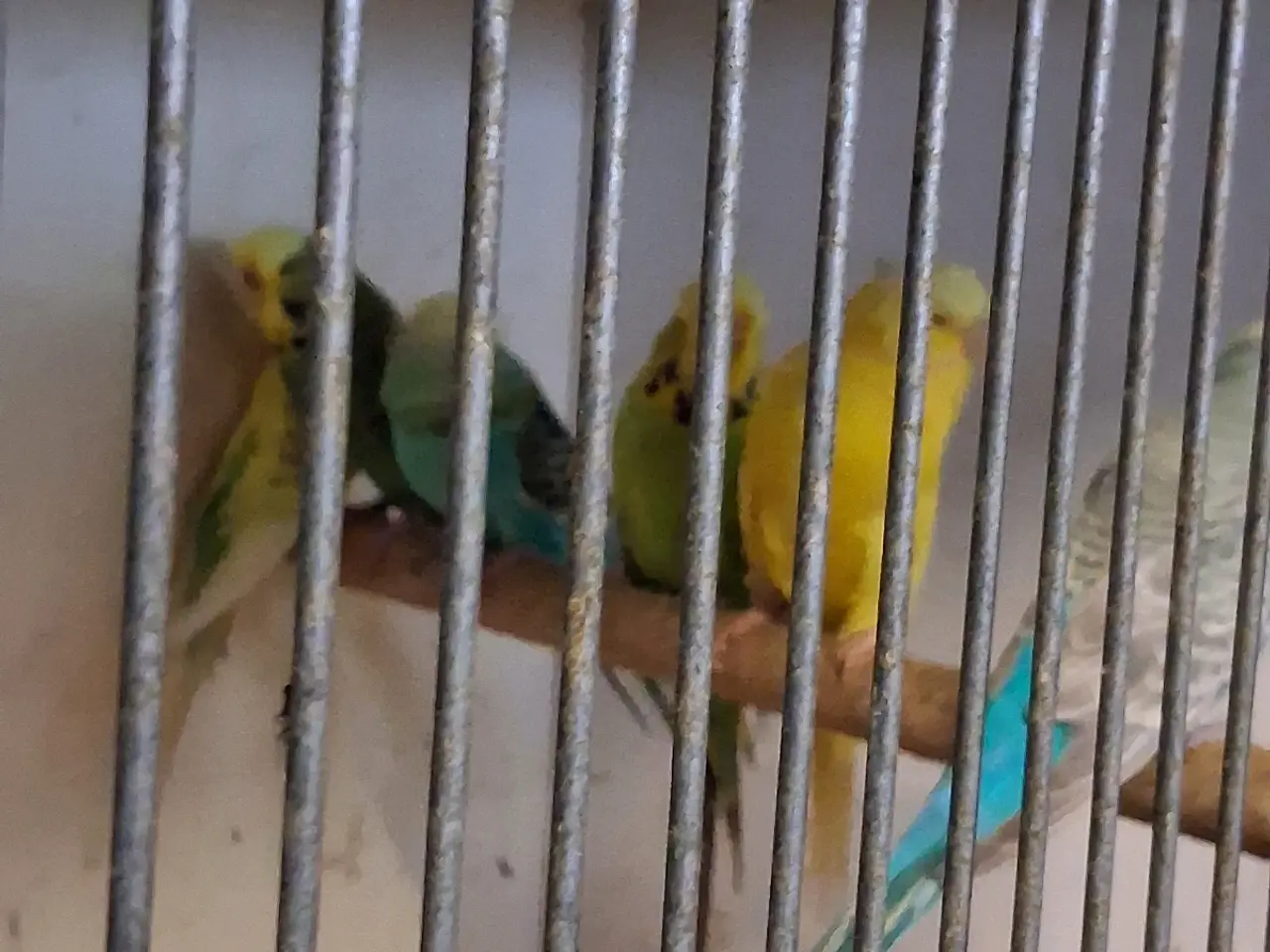 Billede 3 -
