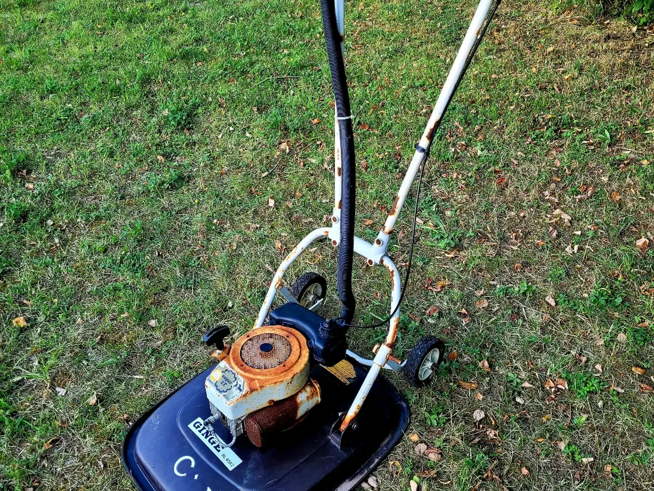 Billede 3 - Ginge RL 45A2