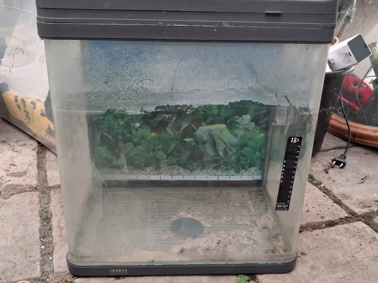 Billede 1 - Lille akvarium 