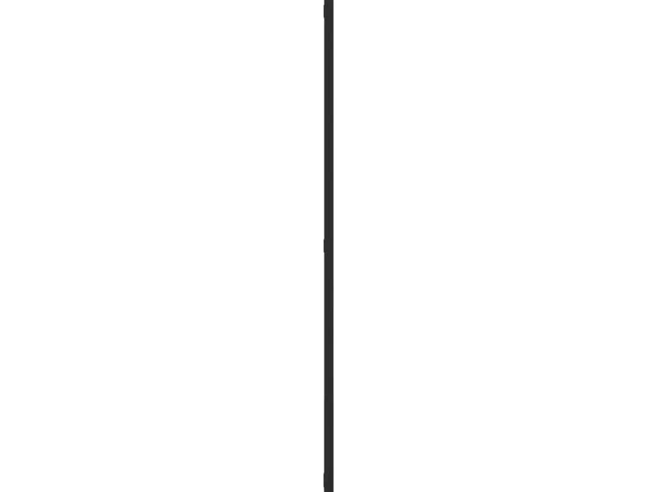 Billede 4 - Vægspejl 50×100 cm - rektangulært med sort jernramme