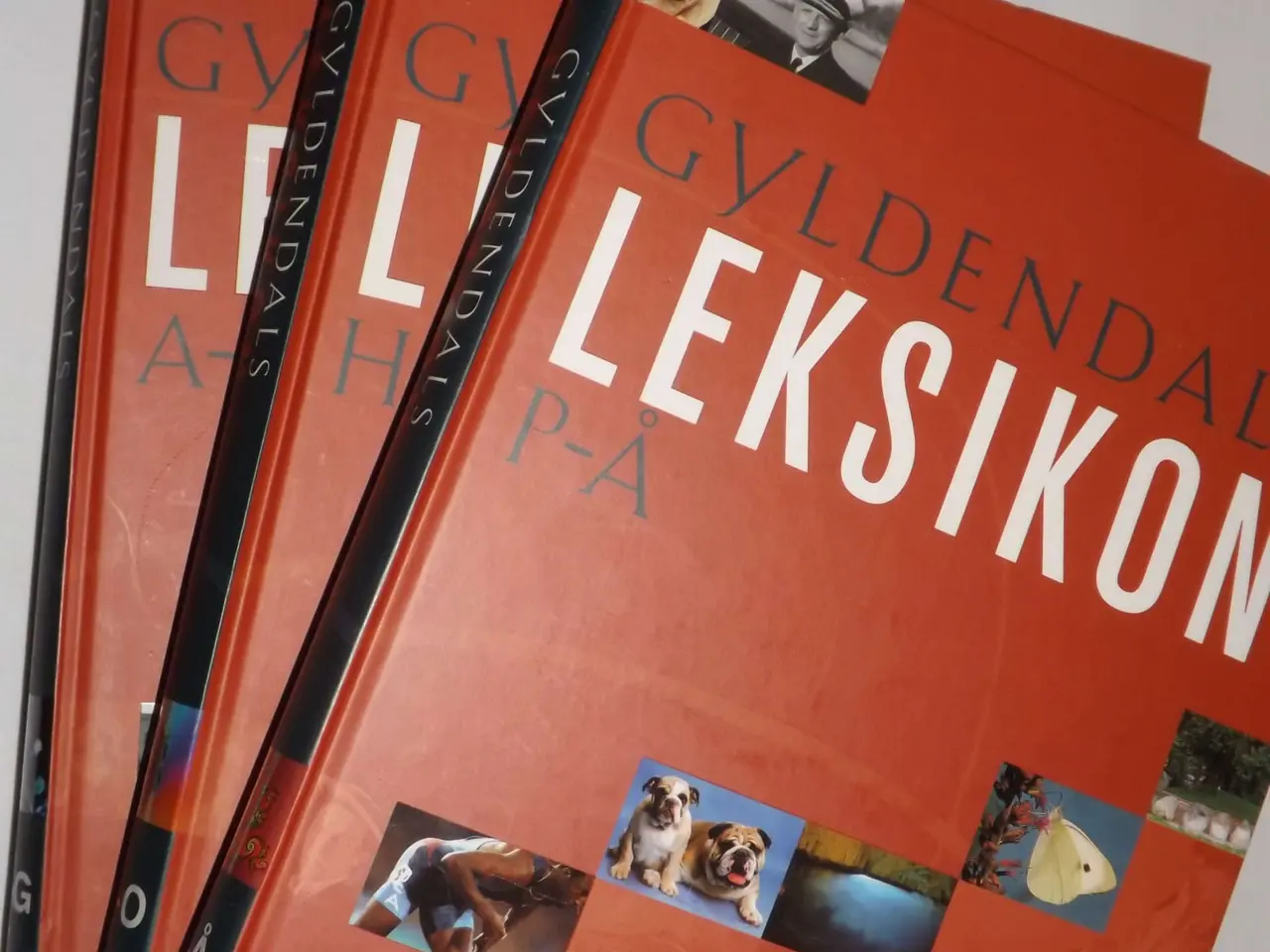 Billede 6 - Gyldendals l3ksikon, 3 bind i box