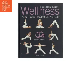 Din personlige guide til wellness af Annette Lefterow (Bog)
