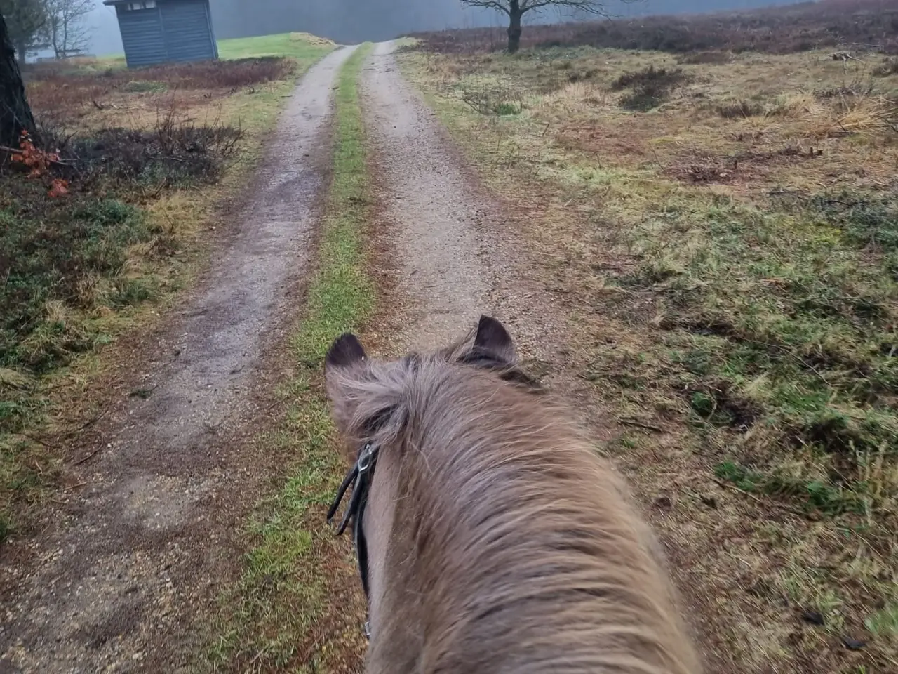 Billede 1 - Opstaldning med ridehus, ridebane og ovalbane