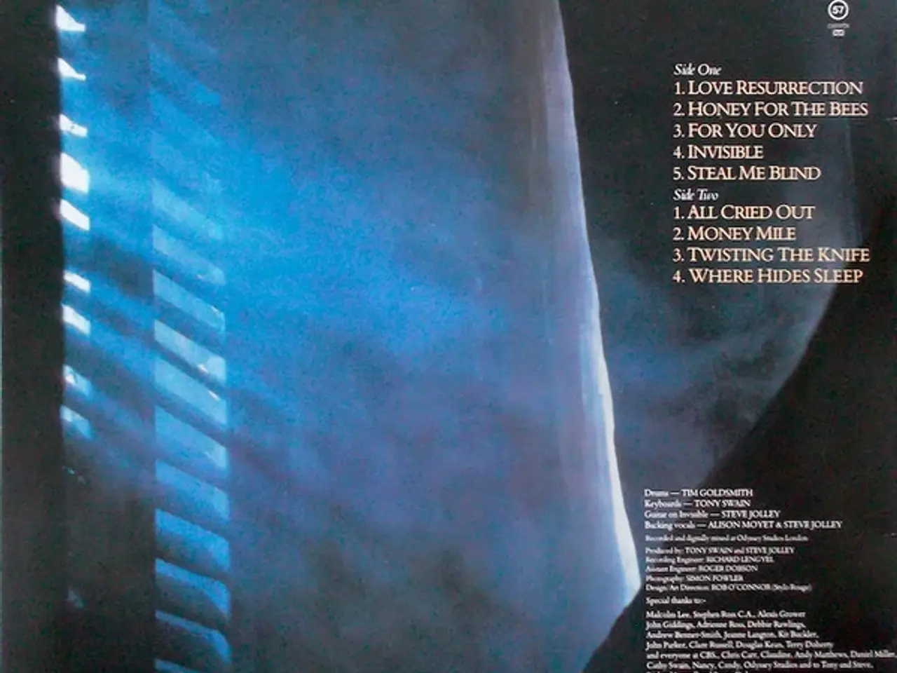 Billede 6 - 3 Alison Moyet LP'er SÆLGES