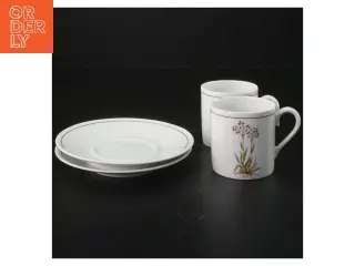 Porcelænssæt med kopper og underkopper fra Tirschenreuth (str. Ø 13xh7 cm)