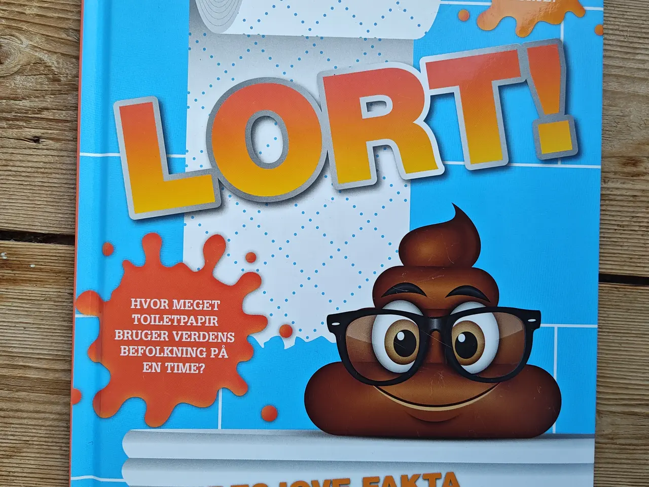 Billede 1 - LORT Skidesjove fakta om at lave stort BOG