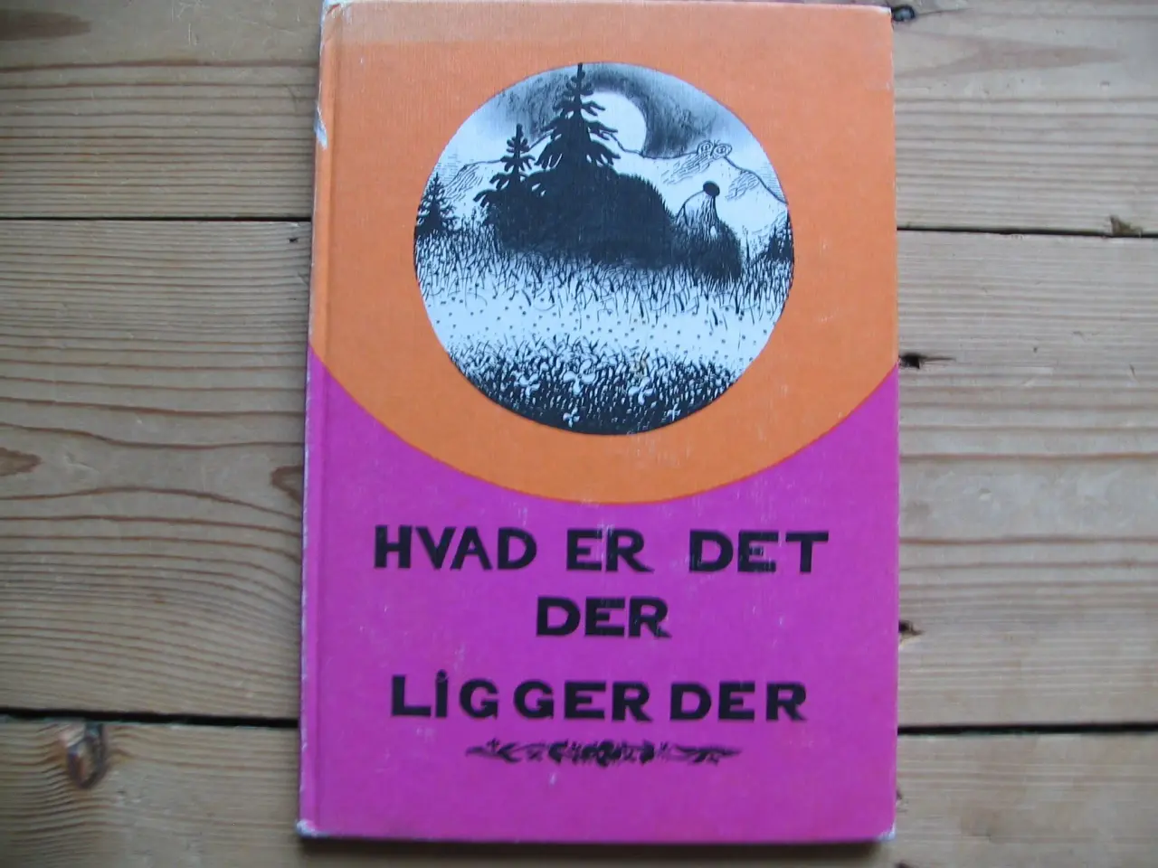 Billede 1 - Hvad er det der ligger der