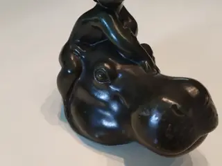 Dreng på flodhest