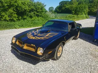 Pontiac trans am