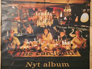 Musik plakat "The Cardigans" 