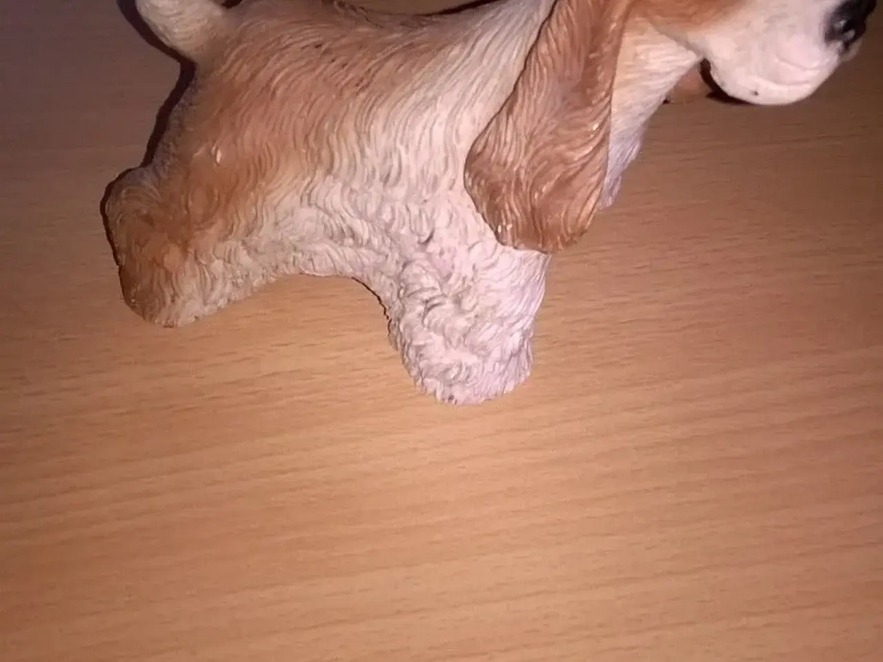 Billede 2 - Amerikanske cockerspaniels