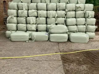 Heste-wrap