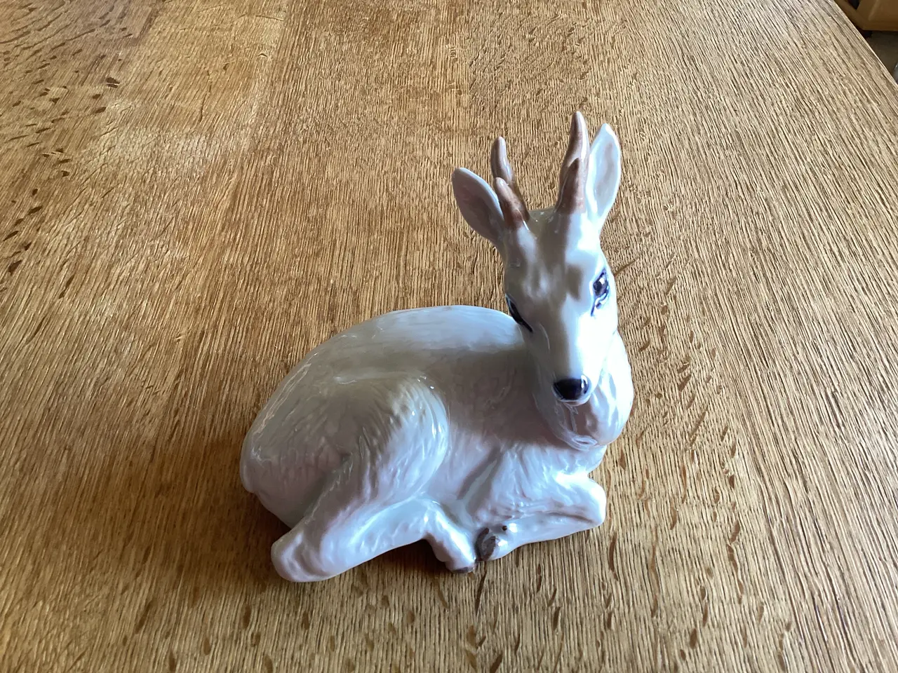 Billede 5 - Kgl Råbuk Hvid nr22607