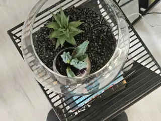 Stor glasbovle med blomster
