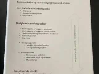 Den fysioterapeutiske undersøgelse