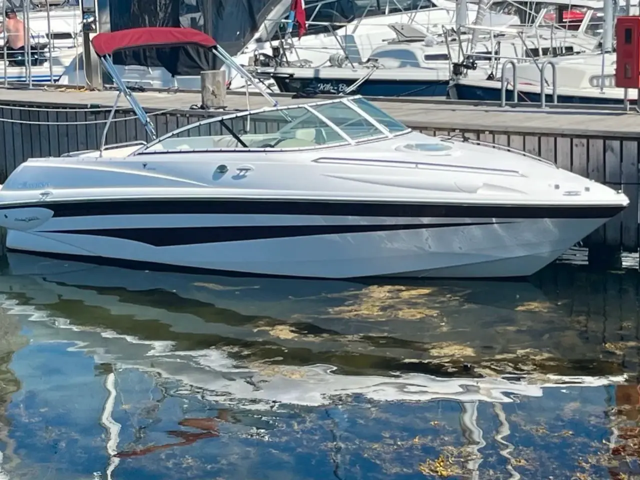 Billede 2 - Campion 645 ISC FERSKVANDSKØLET MOTOR!