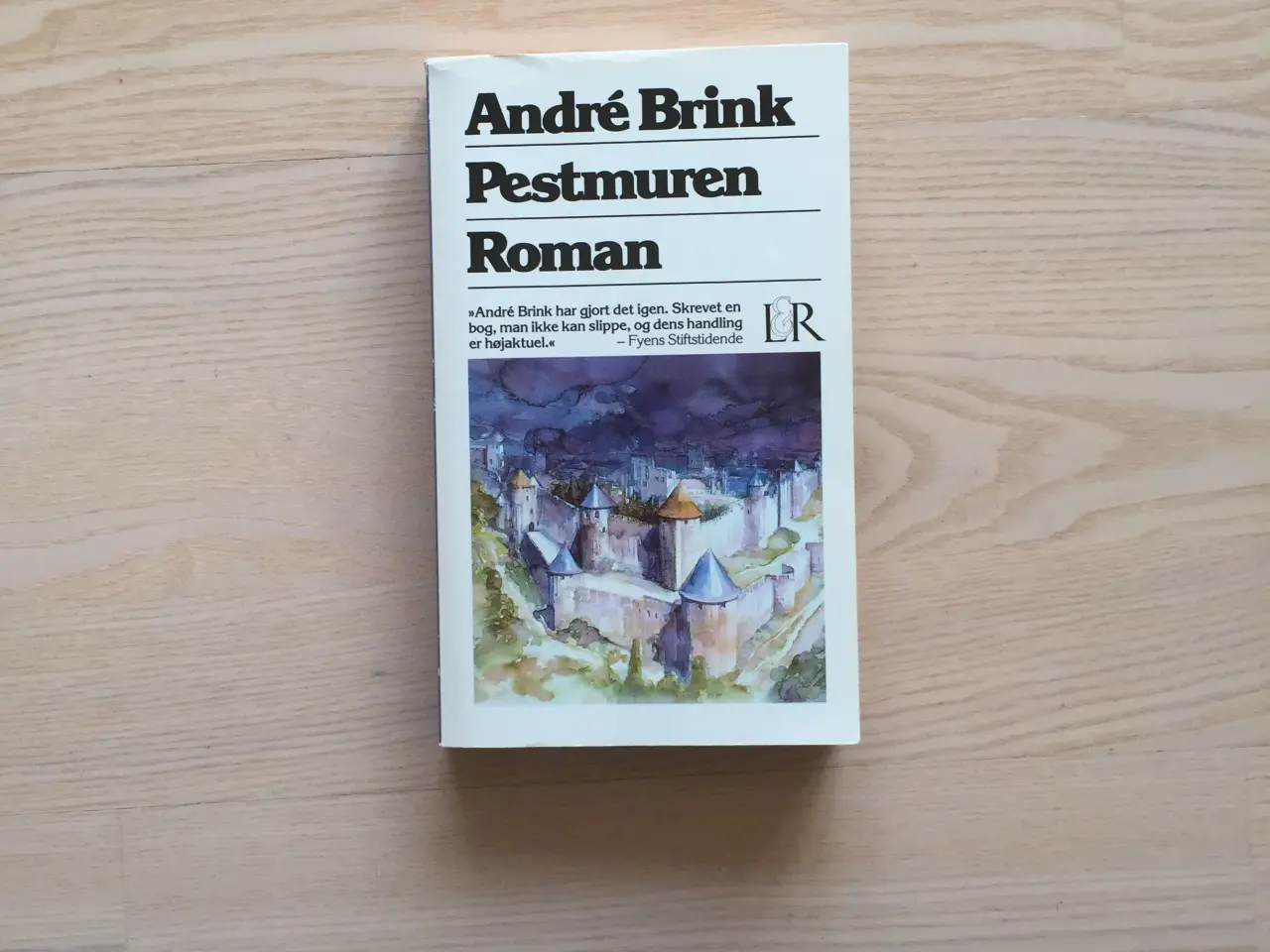 Billede 1 - Pestmuren