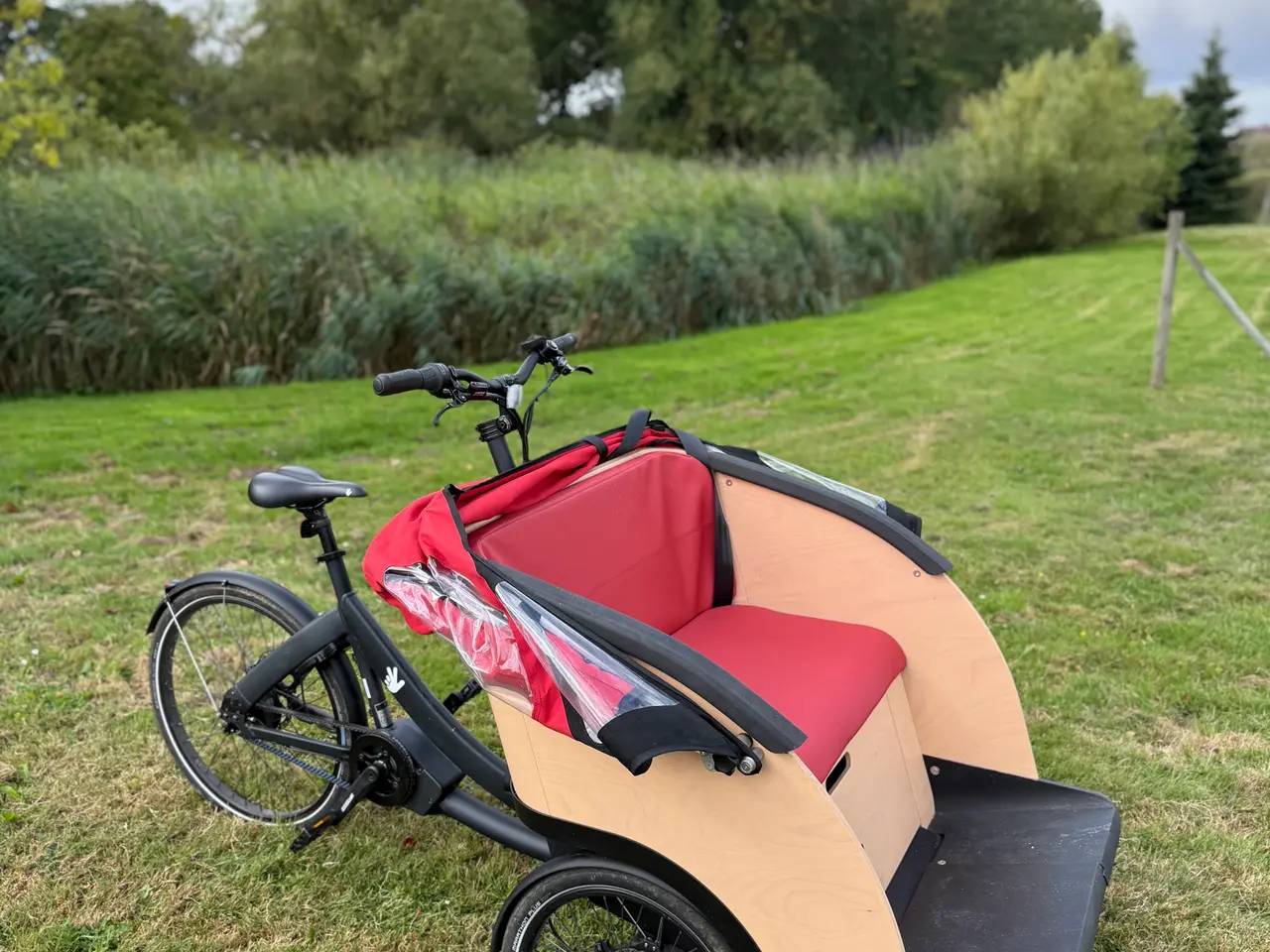 Billede 10 - Triobike Taxi el-ladcykel