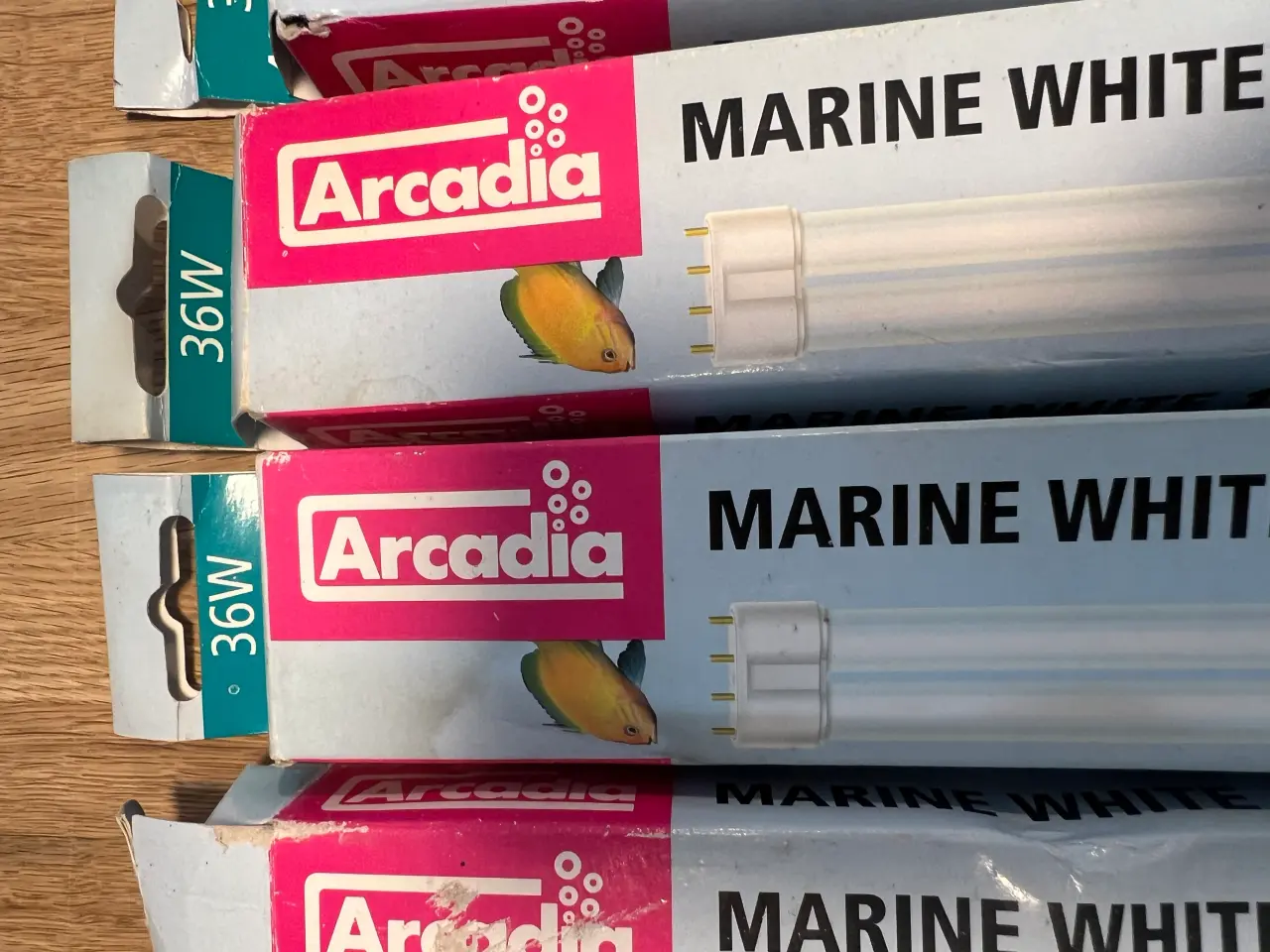 Billede 2 - Pære/Lysstofrør fra Arcadia