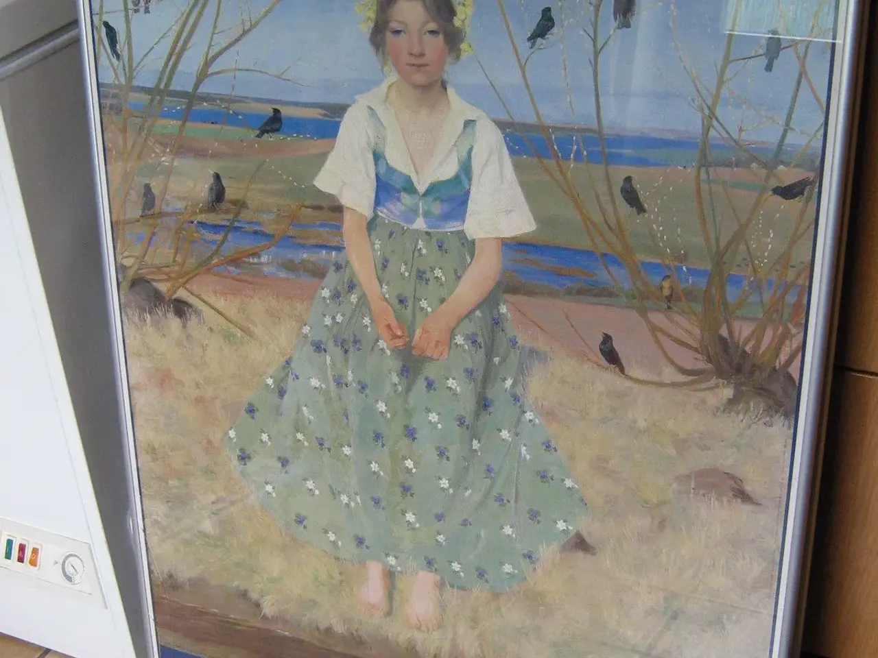 Billede 1 - Billeder i aluramme, format 71 x 101cm
