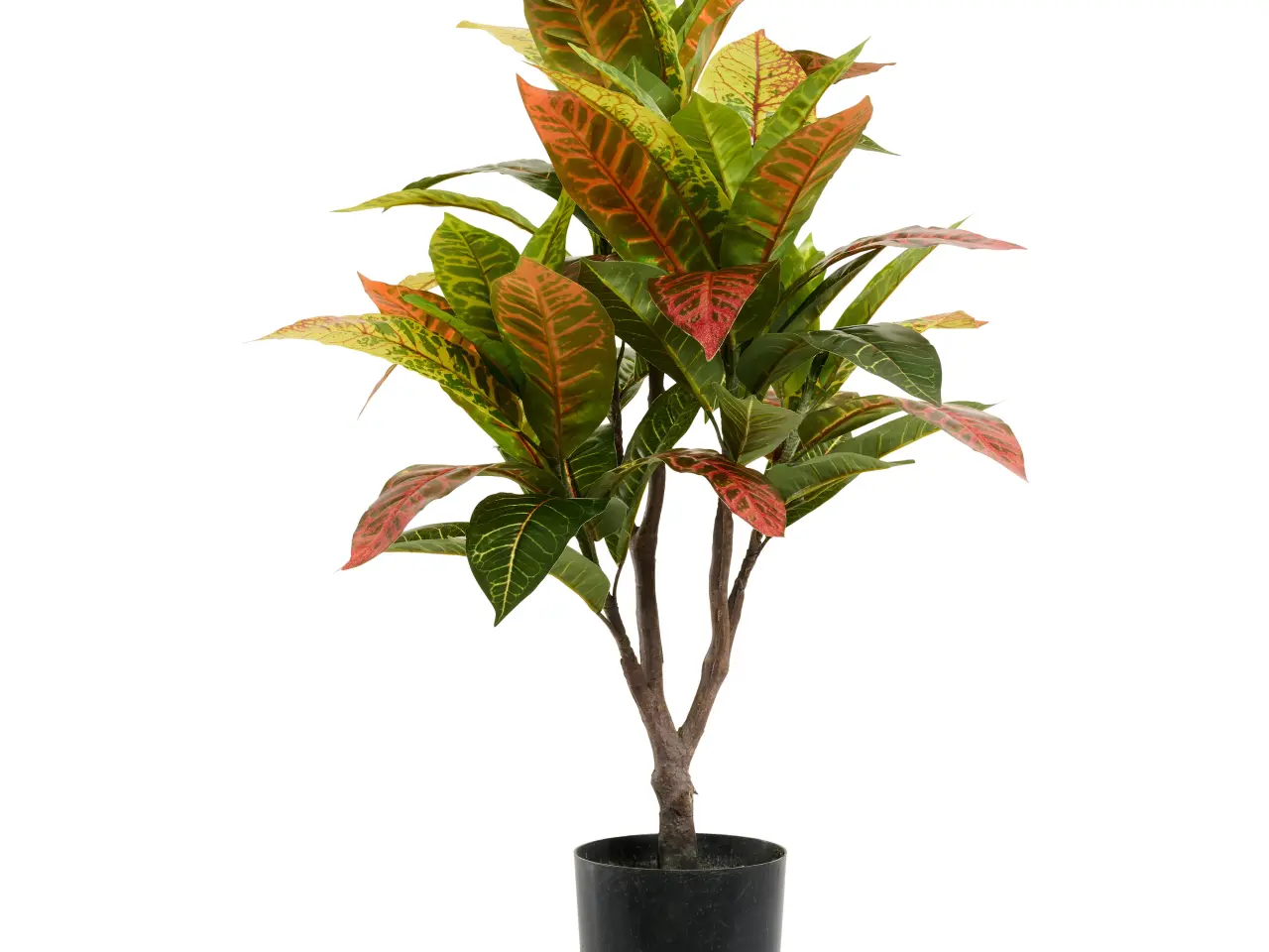 Billede 1 - Kunstig plante Croton 75 cm.