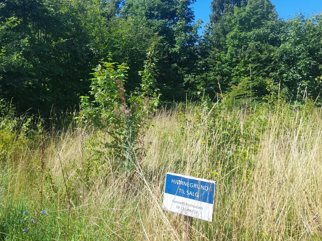 Billede 5 - Byggegrund samsø