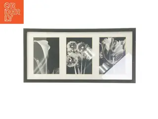 Sort billedramme med blomsterbilleder (str. 25,5x52,5 cm)