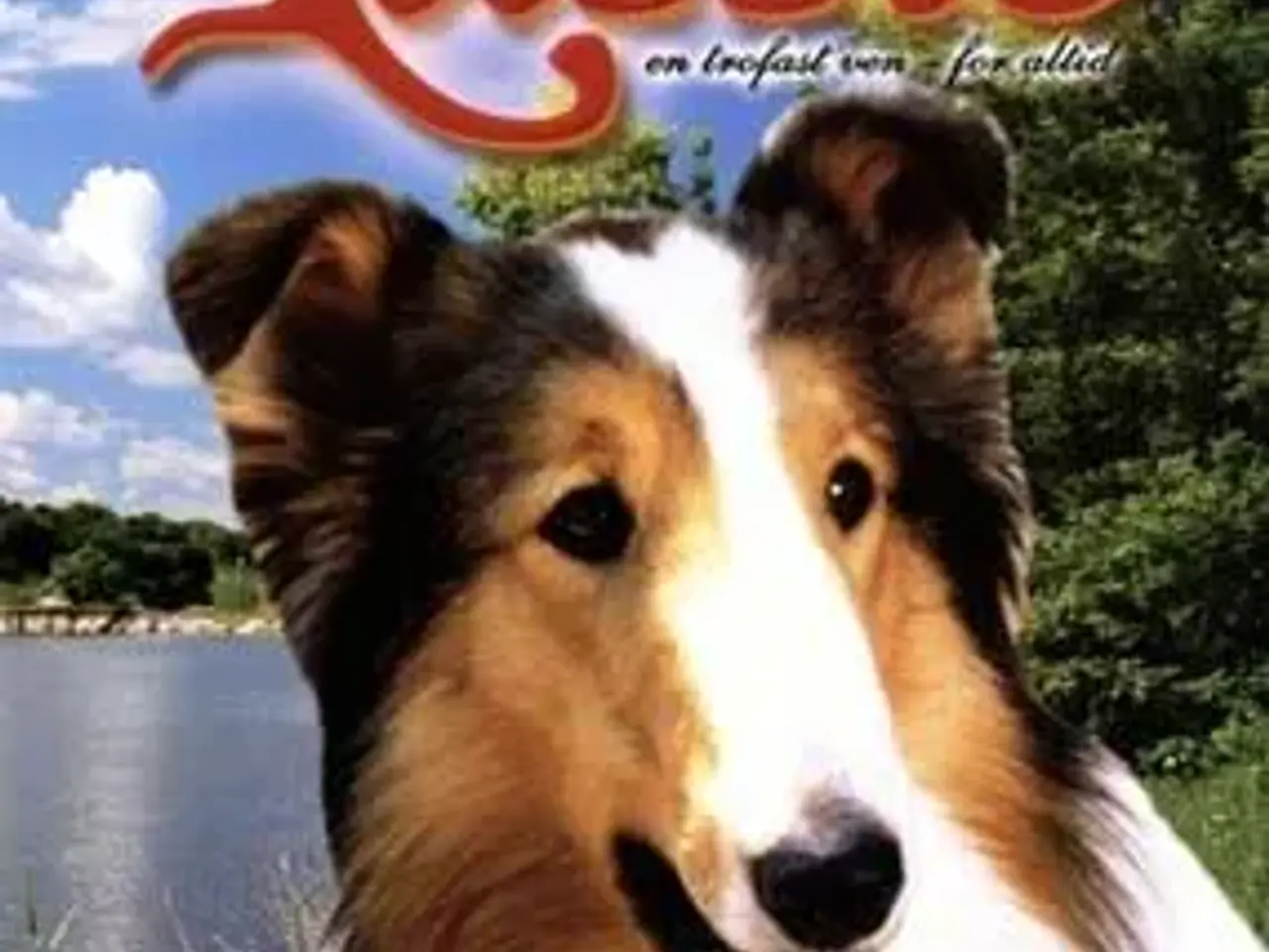 Billede 1 - LASSIE ; En trofast ven - for altid
