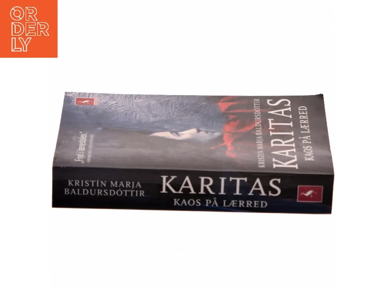Billede 2 - Karitas - kaos på lærred : roman af Kristín Marja Baldursdóttir (Bog)