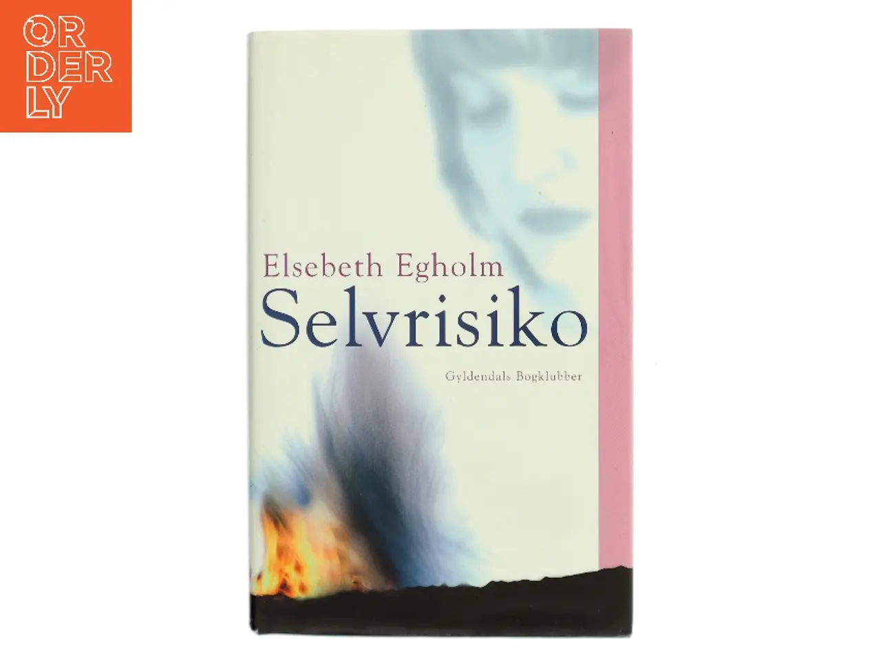 Billede 1 - Selvrisiko af Elsebeth Egholm (Bog)