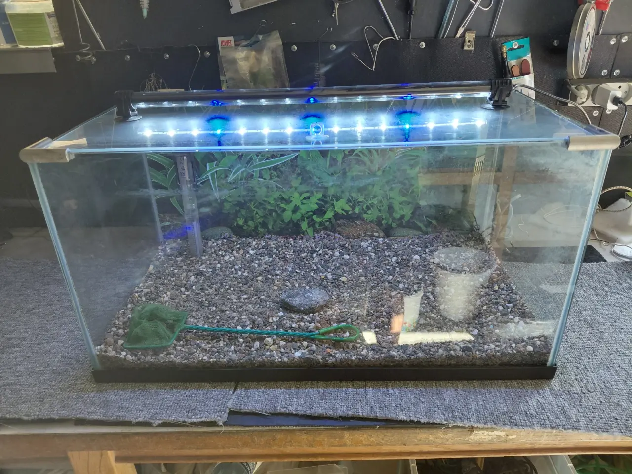 Billede 1 - Akvarier 52L 