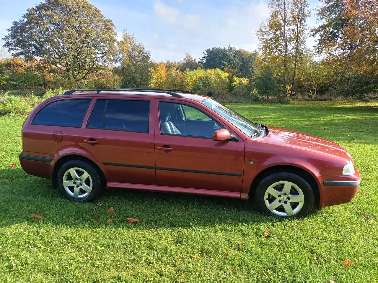 Billede 3 - Skoda Octavia 1,9 tdi