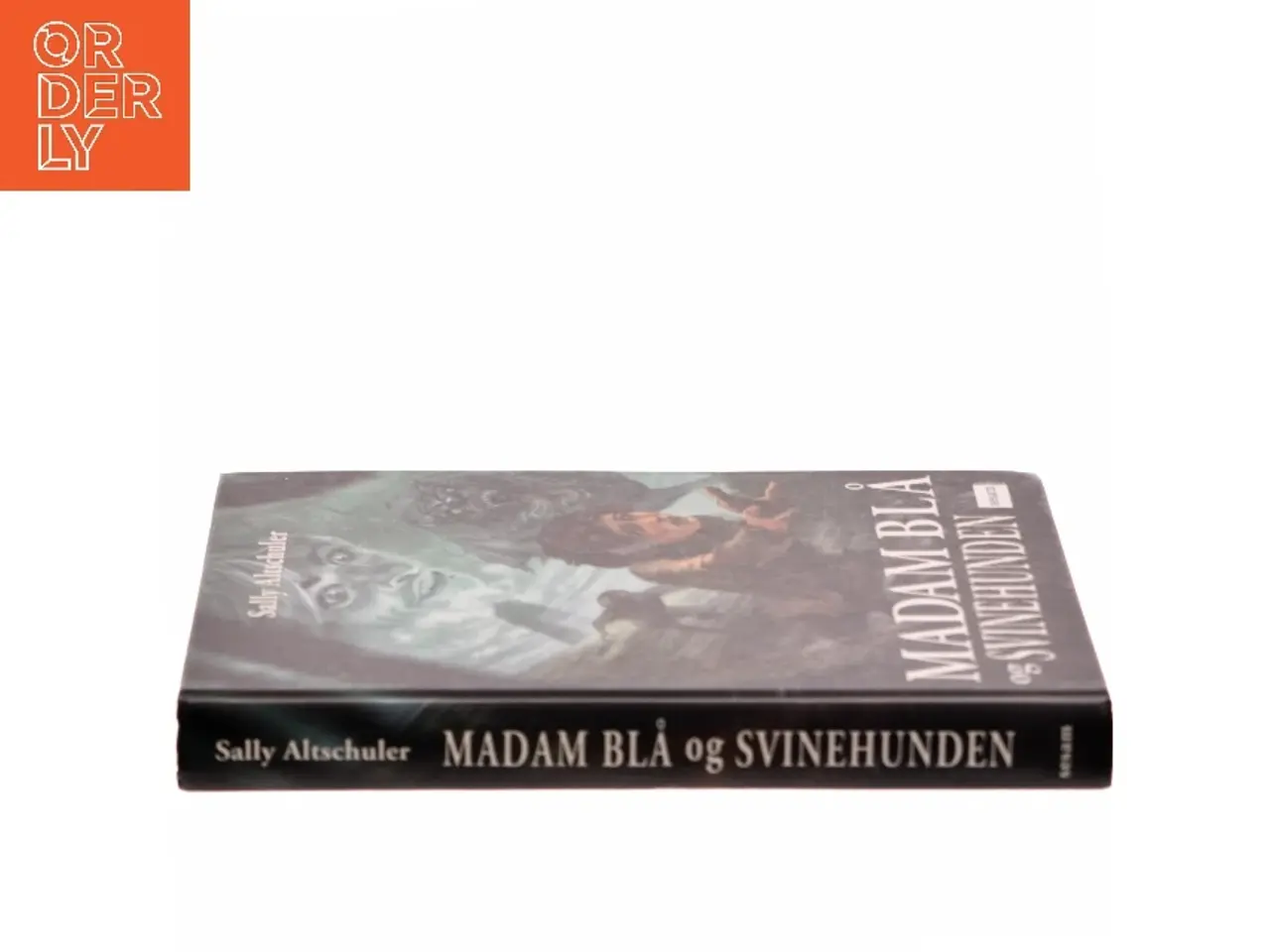 Billede 2 - Madam Blå og Svinehunden af Sally Altschuler (Bog)