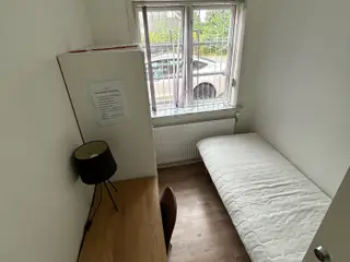Værelsesindhold